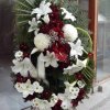 primula 8